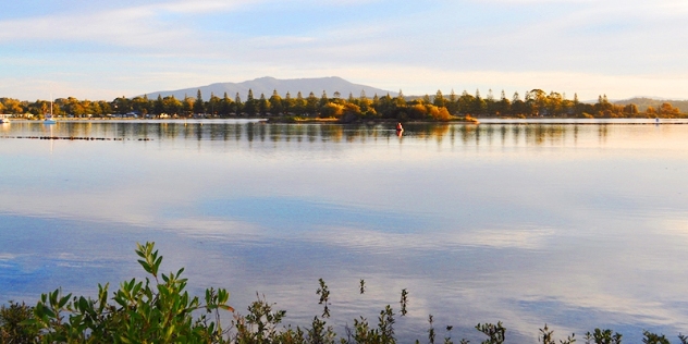 view of water with trees and hills in the background