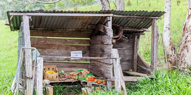 rustic wooden roadside stall with a tin roof with potatoes and tomatoes