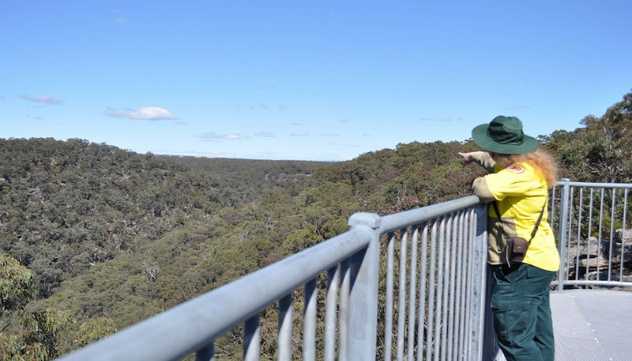  A woman in a brimmed hat pointing out over a lookout point railing at a heavily treed valley. 