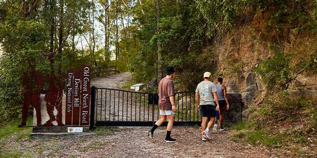 Old Great North Road