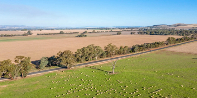 A near aerial view of a straight two lane highway through a flat countryside dotted with trees under blue sky.