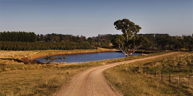 orange nsw countryside