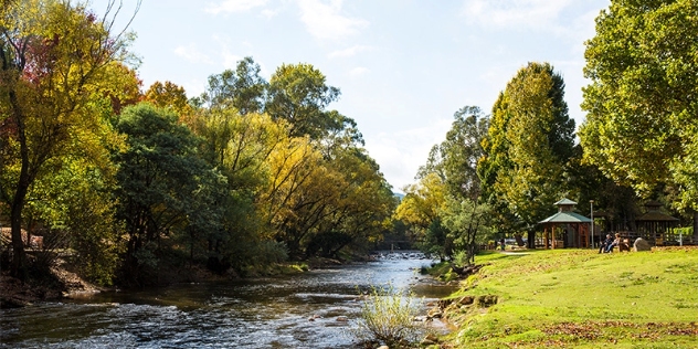 Owens River Wangaratta VIC