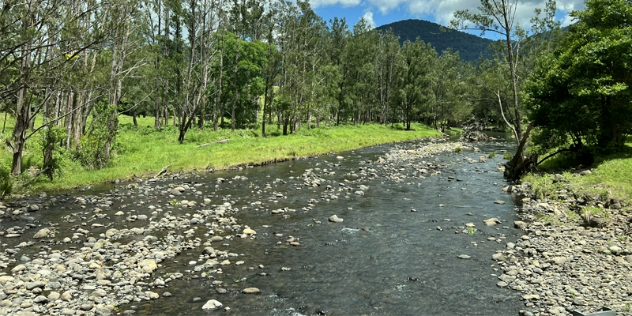  A shallow, rocky creek flows down tree-lined shores at the foot of a tall green covered mountain. 