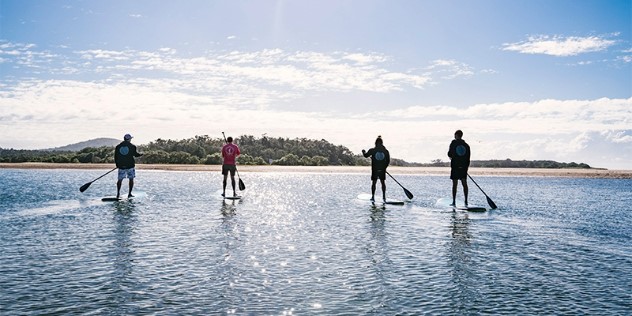 Four men in shorts on paddleboards, holding oars, as seen from behind in shallow water. In front of them is a small sandy island with trees, under a near-cloudless sky. 