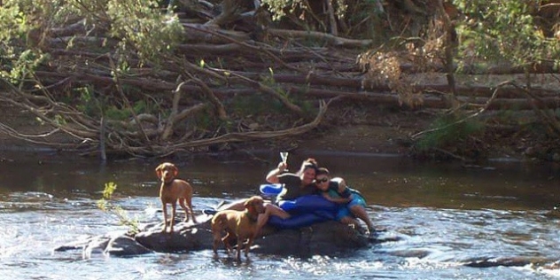 couple with two dogs sitting on a rock in a river celebrating with drinks