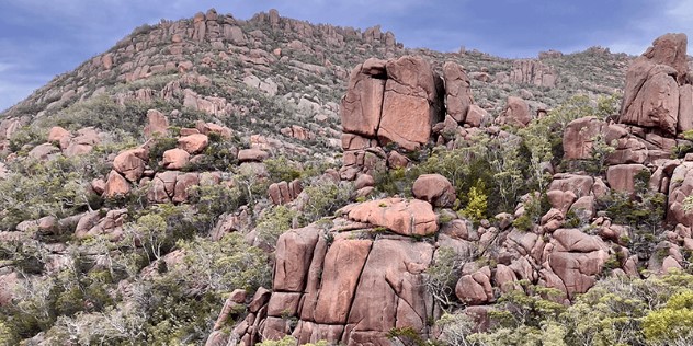 A valley of red rocks of various sizes lined all around with green scrub, formed into sections that look like steps, leading up to a rock cliff under grey skies.