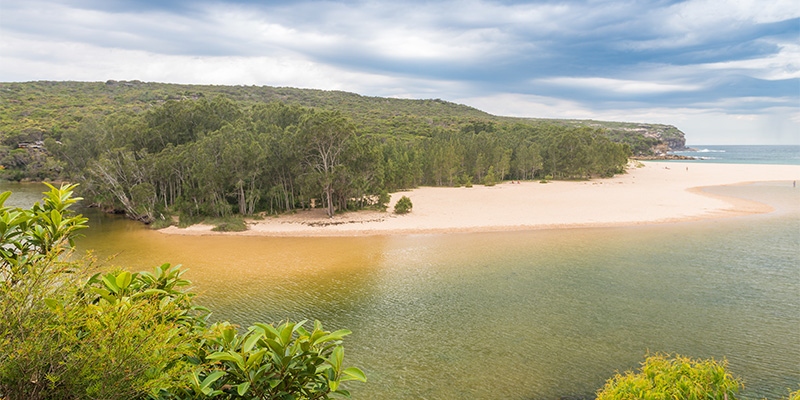 royal national park