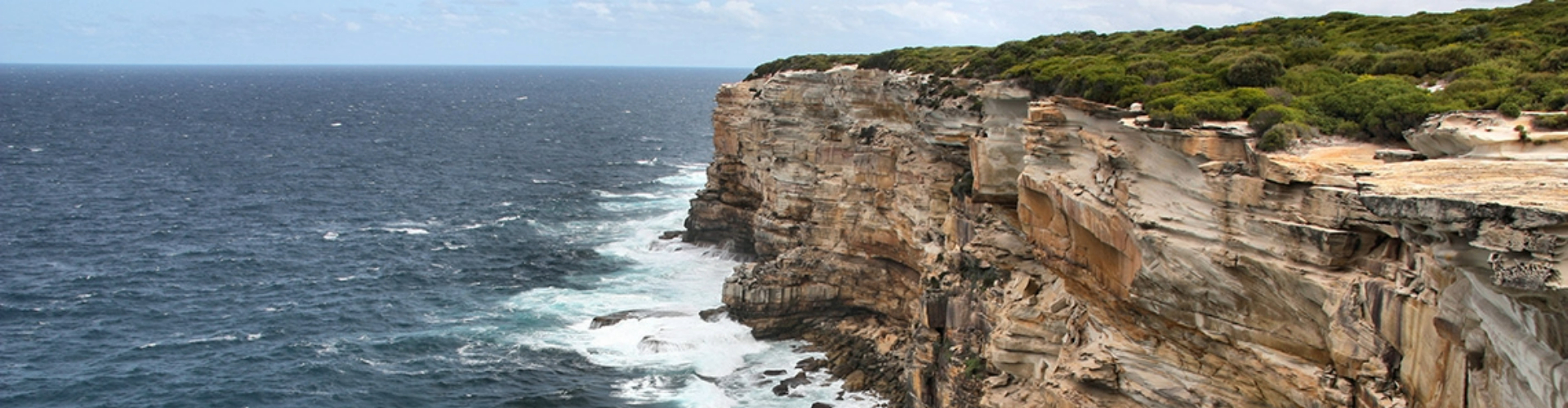 royal-national-park-cliffs-nsw-1920x500 A steep cliffside with horizontally eroded layers of rock, topped with thick grass, stretching into a dark blue sea.