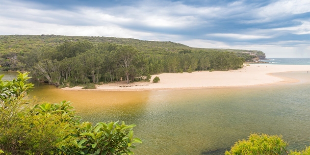 Royal National Park NSW