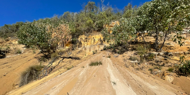  Grooves worn into a sandy road leading up a scrubby dune, framed by blue sky.