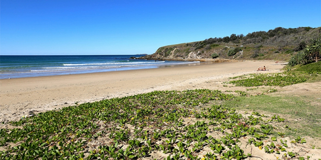  A wide view of a grassy shore leading to a sunny beach framed by a scrubby, rocky outcrop.