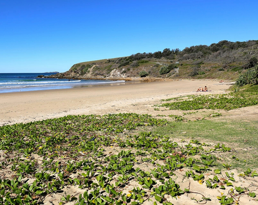 sapphire-beach-nsw-900x715 Slide 2