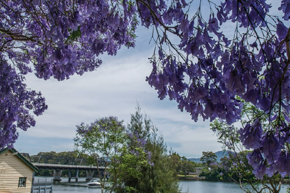 shoalhaven-river-nsw-1200x800 Slide 6