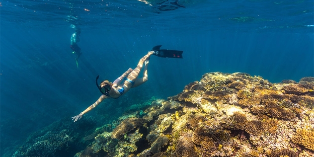 underwater image of person snorkelling at Coral Bay WA