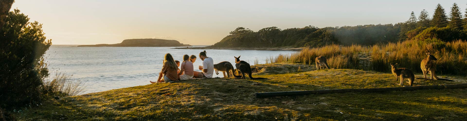 A family sits by the beach with kangaroos at South Durras