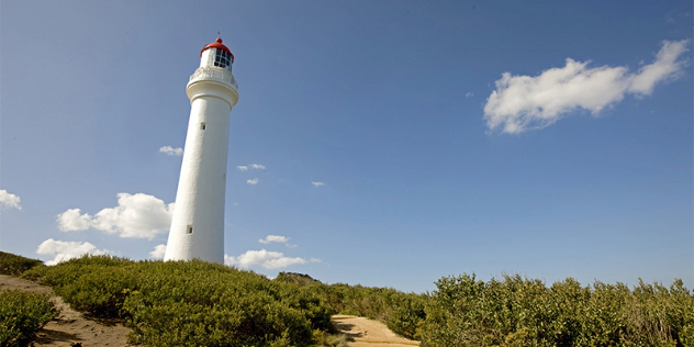 split point lighthouse painted white with a red roof viewed from below, inland