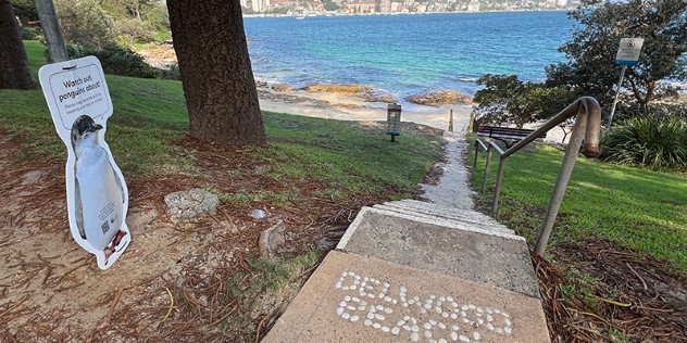 A set of concrete steps with a metal handrail leads down a green, treed hill to a small beach and turquoise blue water. The top step has 'Delwood Beach' spelled out in small white rocks, inlaid into the concrete.