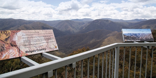 view of tree-covered hills from a lookout