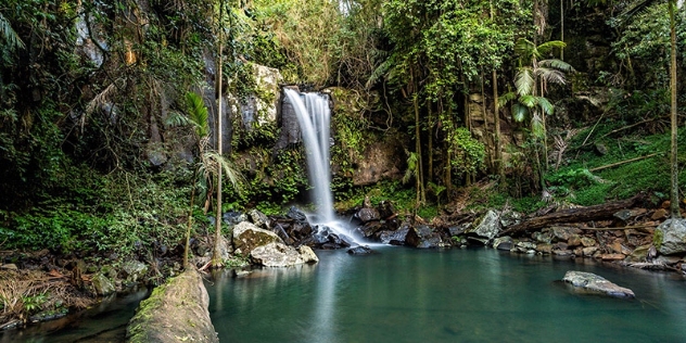 waterfall spills into a small rainforest pool