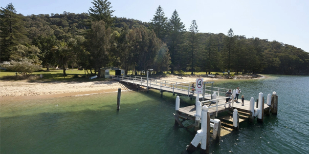  A pier with extends out from a small sandy beach and forested shore into a blue-green lagoon. 