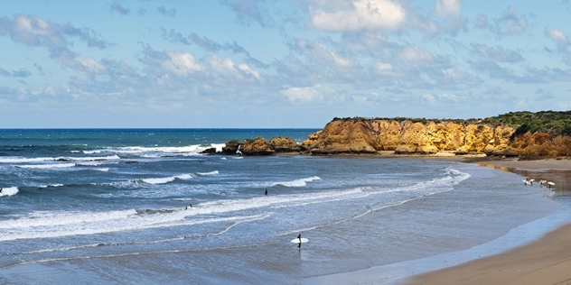 surfer with a white board on Torquay beach with the sea and coastline in the background