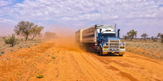 A heavy truck with a trailer kicks up dust driving an unpaved road in the outback on a sunny day. 