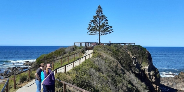 walkway leads up a short peninsula to a war memorial with a lone tree looking out to the ocean