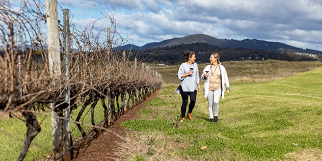 Two women chat and walk along a row of grape vines drinking red wine, with a green ridge, blue sky and clouds the background. 