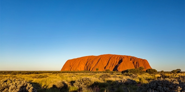 Uluru during the day time with cloudless blue sky and low grasses in the foreground