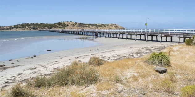 jetty with white railings stretches across the water to the headland at low tide