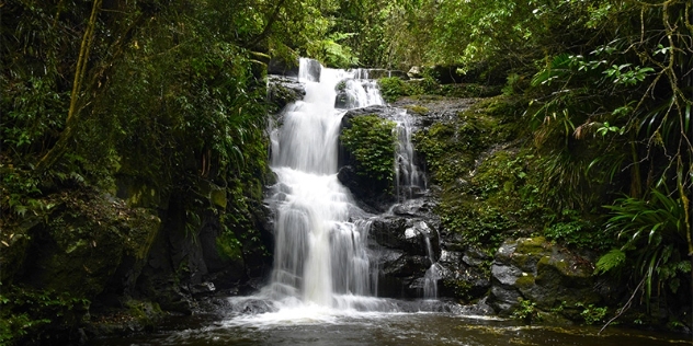 waterfall Lamington National Park QLD