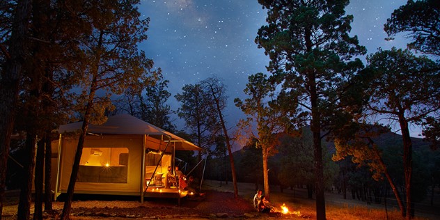 A tent lit with a warm glow in front of a campfire among the trees at Wilpena Pound Resort, South Australia. 