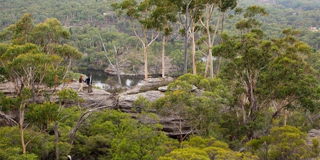 Couple stands on rounded cliffs edge near waterhole surrounded by trees