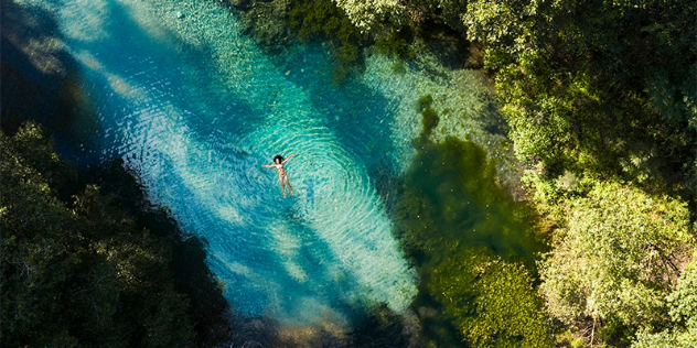 Aerial view of a brunette woman in a bikini floating in a clear blue pool surrounded by green trees.