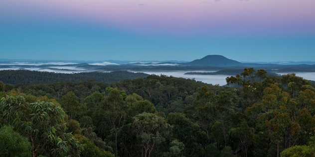 arial view of Yengo National Park across tree tops with water and silhouettes of hills at dusk