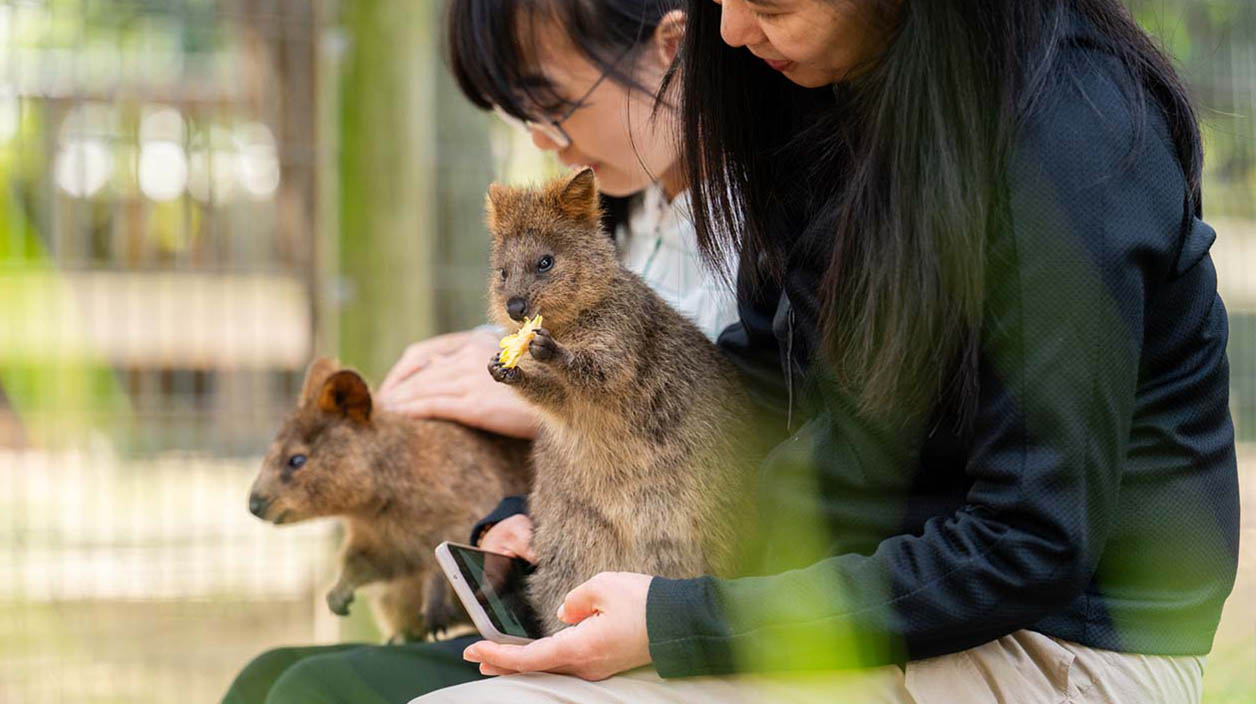 Two young girls holding Quokkas on their laps