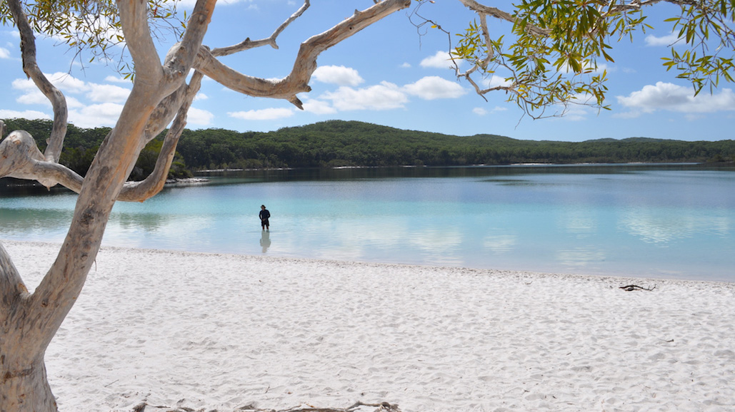 Fraser Island Beach Driving on the Sand Highway Australia Road Trip my nrma app NRMA Blue Member discounts