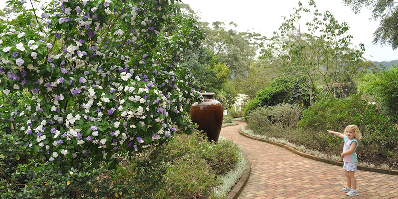 Distillery Botanica Umina