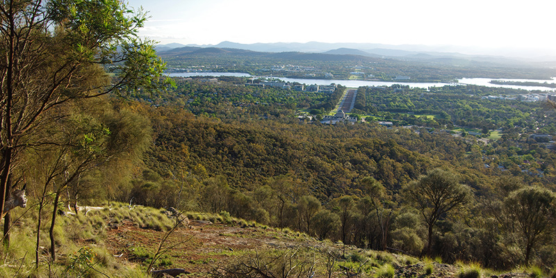 Brindabella National Park 