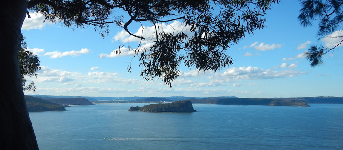 Ku-ring-gai Chase National Park