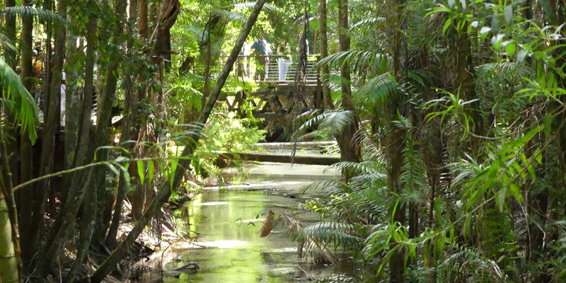 Wanggoolba Creek