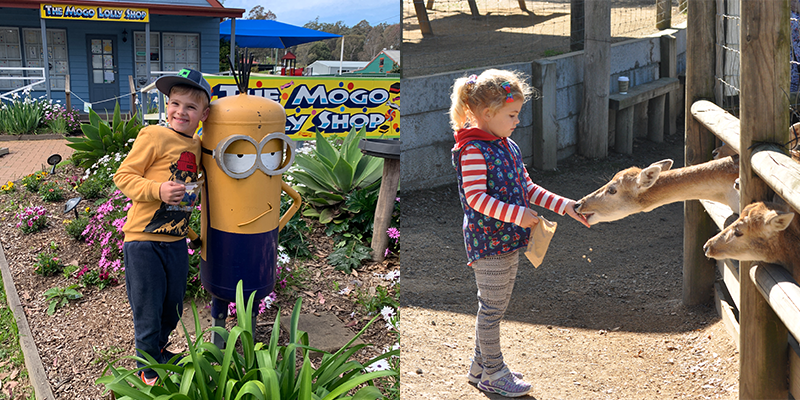 Mogo Zoo minions and animal feeding