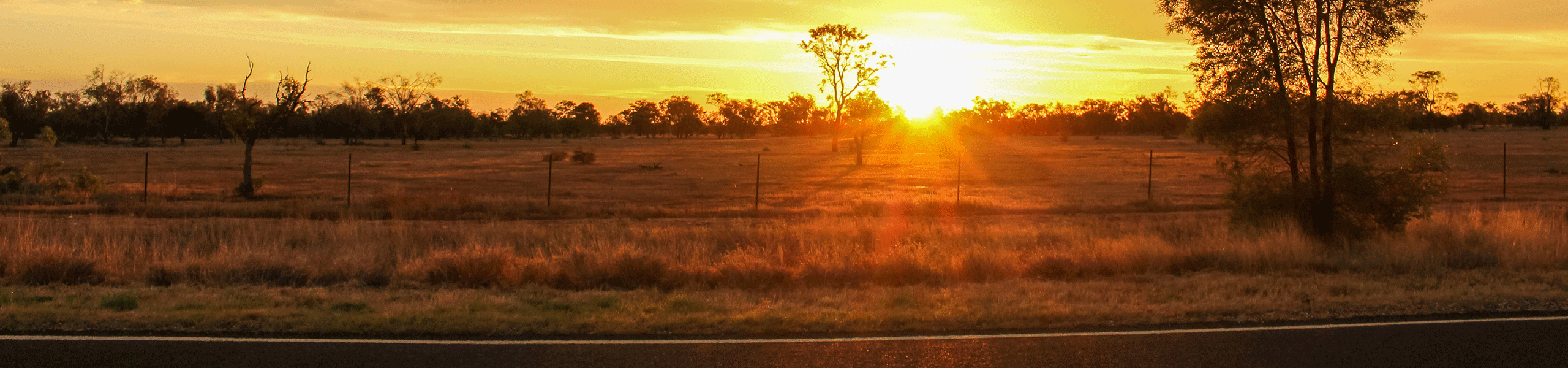 nsw