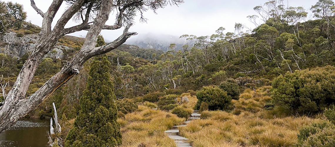 Tasmania tourism