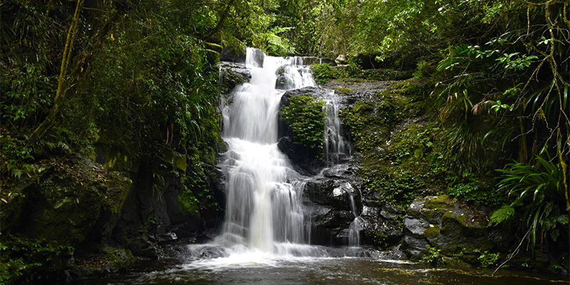 Waterfall Lamington National Park